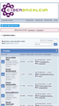 Mobile Screenshot of cyberbricoleur.fr